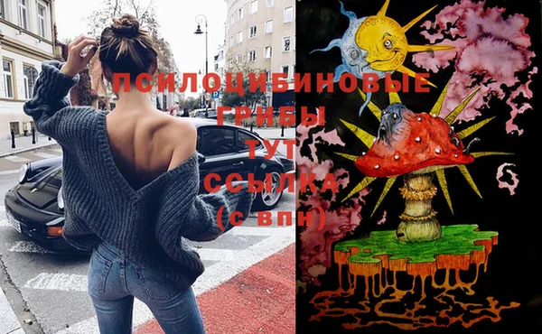 круглые Алзамай