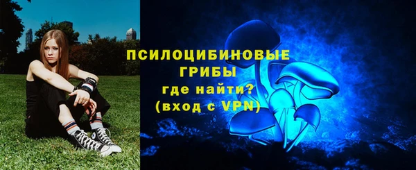прущая мука Осинники