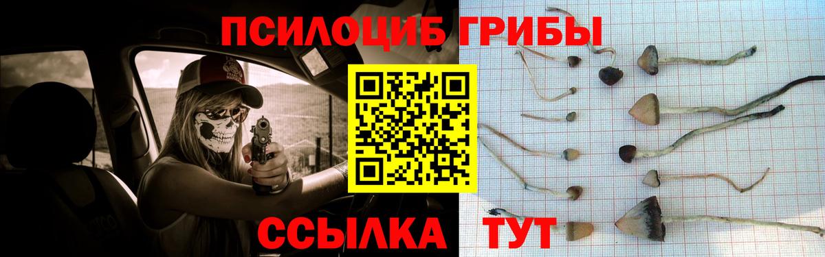 Псилоцибиновые грибы Magic Shrooms  Вход с VPN  Галлюциногенные грибы мицелий  Чита 